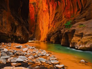Perierga.gr - Zion National Park