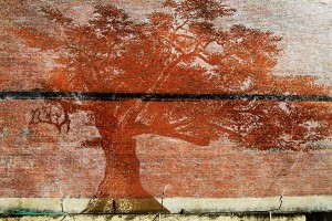 perierga.gr - Εντυπωσιακή τοιχογραφία φαίνεται μόνο στη βροχή!
