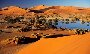 perierga.gr - Τα εξωπραγματικά τοπία του Sossusvlei!