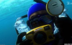 Perierga.gr - Η μυστική επιγραφή Α113 που κρύβεται στα κινούμενα σχέδια!
