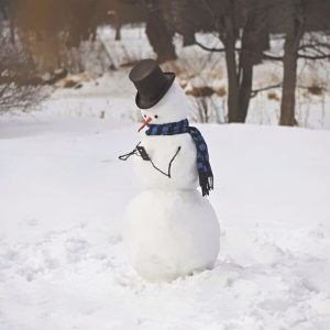 Χιονάνθρωποι που δεν είναι καθόλου... βαρετοί!