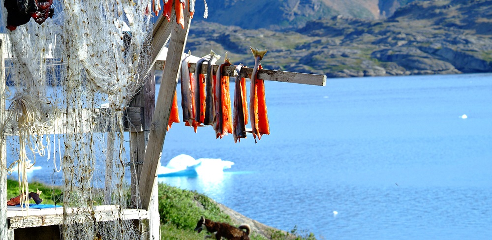 perierga.gr - Tasiilaq: Ένα χωριουδάκι γεμάτο χρώμα στη Γροιλανδία