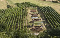 Perierga.gr - Ίχνη τυριού 7.000 ετών βρέθηκαν στην Κροατία
