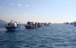 Perierga.gr - Έπιασαν καρχαρία 4 μέτρα και 100 κιλά στον Βόλο