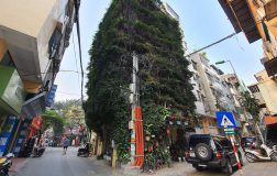 Perierga.gr - Πενταώροφη πολυκατοικία στη μέση της πόλης καλύπτεται από αναρριχώμενα φυτά