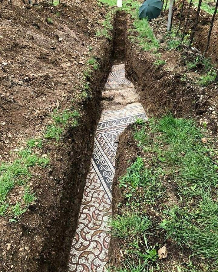 Perierga.gr - Ιταλία: Εντυπωσιακό ρωμαϊκό ψηφιδωτό εντοπίστηκε κάτω από αμπελώνα Perierga.gr - Ιταλία: Εντυπωσιακό ρωμαϊκό ψηφιδωτό εντοπίστηκε κάτω από αμπελώνα