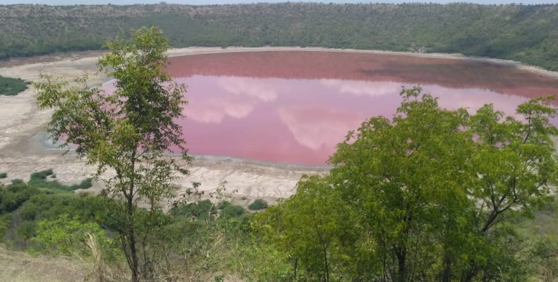 Perierga.gr - Μυστήριο με λίμνη 50.000 χρόνων στην Ινδία που έγινε ροζ μέσα σε μια ημέρα